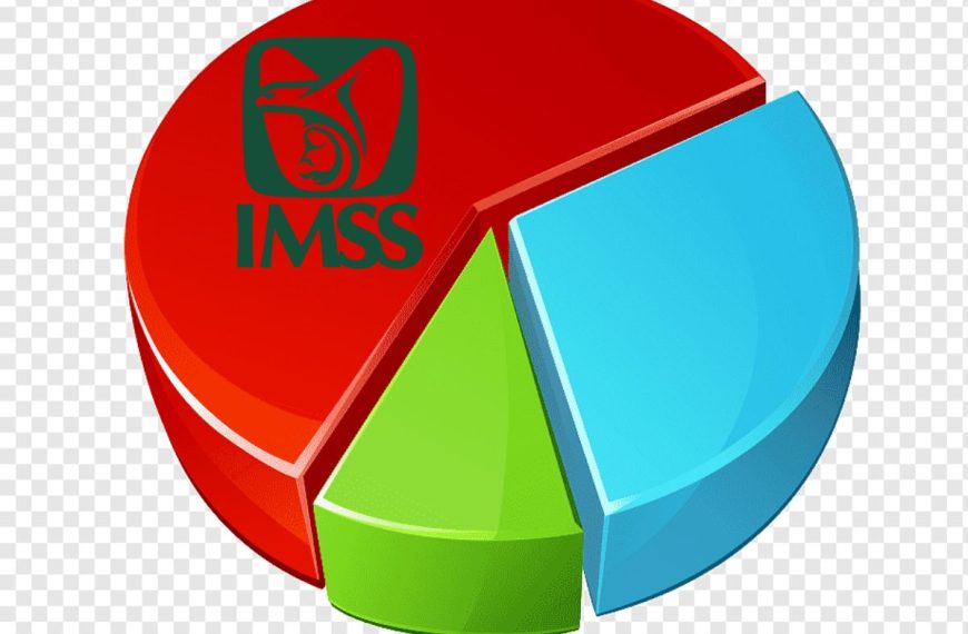 Las cifras de la insuficiencia renal en el IMSS